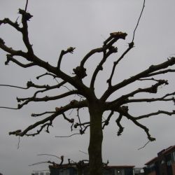 onderhoud 2011 gemeente noordenveld roden 6 20130522 1398593031